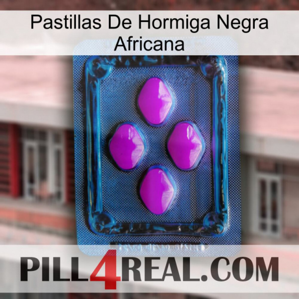 African Black Ant Pills 04.jpg